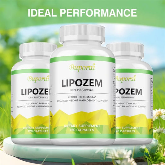 Capsules Lipozem-Santé Digestive, Suppression de l'appétit, Mardi olisme, Gestion du poids